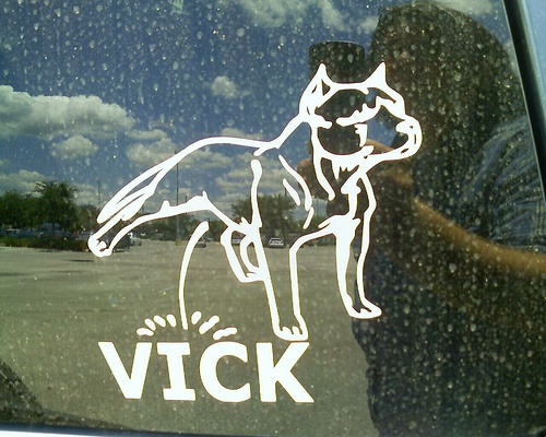 vick